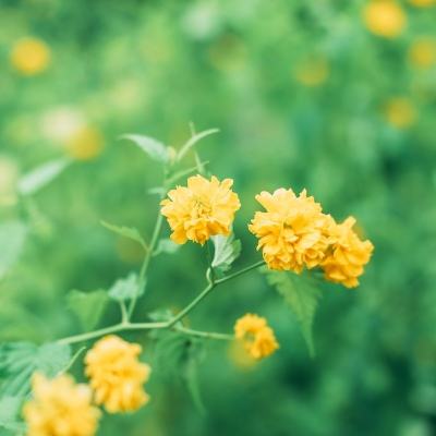 盗墓诀内购破解版下载